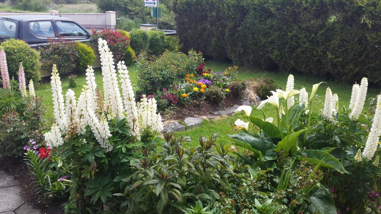 Riverwalk House B&B Oughterard Luaran gambar