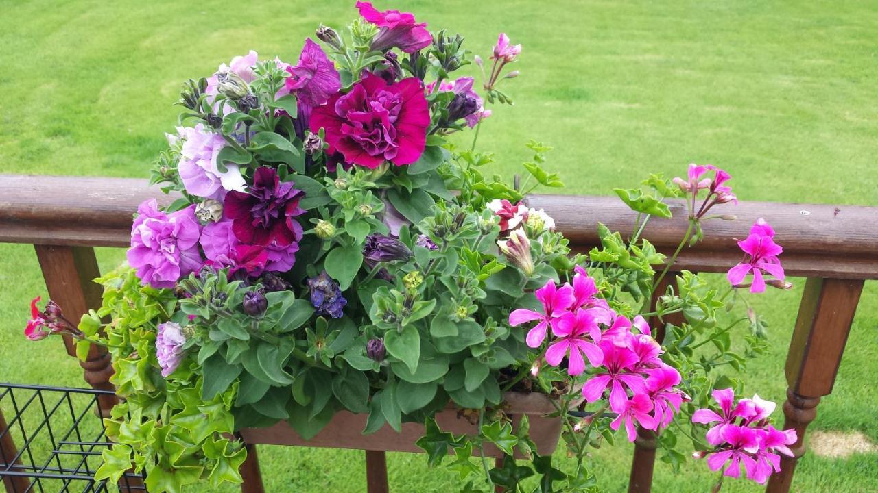 Riverwalk House B&B Oughterard Luaran gambar